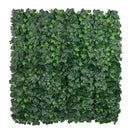 Sample Panel – Boston Ivy Green Wall (Small Sample) by Designer Plants USA