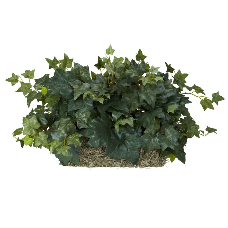 Ivy Set on Foam Sheet Silk Plant