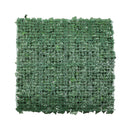 Sample Panel – Boston Ivy Green Wall (Small Sample) by Designer Plants USA