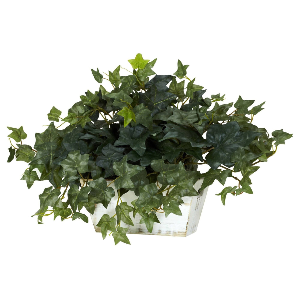 Ivy w/White Wash Planter Silk Plant, photo 2 of 2