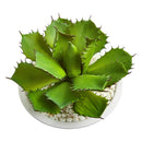 Large Succulent Artificial Plant in White Bowl