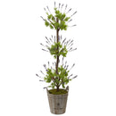 Lavender Topiary with Farmhouse Planter