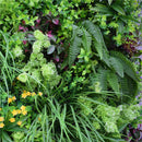 Country Fern Artificial Vertical Garden Green Wall Panel 40×40in 11 SQ FT – UV Resistant – Commercial Grade by Designer Plants USA