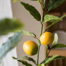 Artificial Lemon Tree In Pot