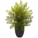 Maiden Hair Plant in Black Ceramic Pot by Nearly Natural