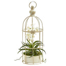 Mini Phalaenopsis Orchid Artificial Arrangement in Bird Cage