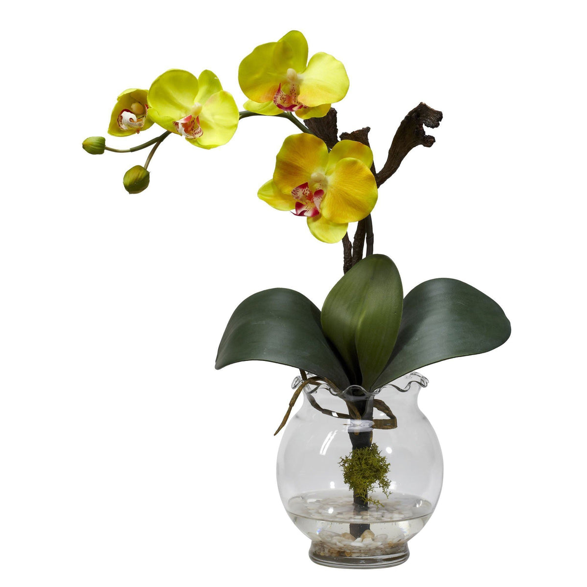 Mini Phalaenopsis w/Fluted Vase Silk Flower Arrangement, photo 3 of 3
