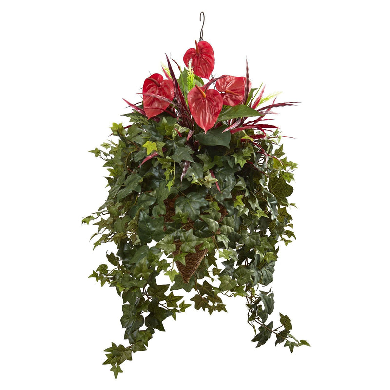 Mixed Anthurium Hanging Basket