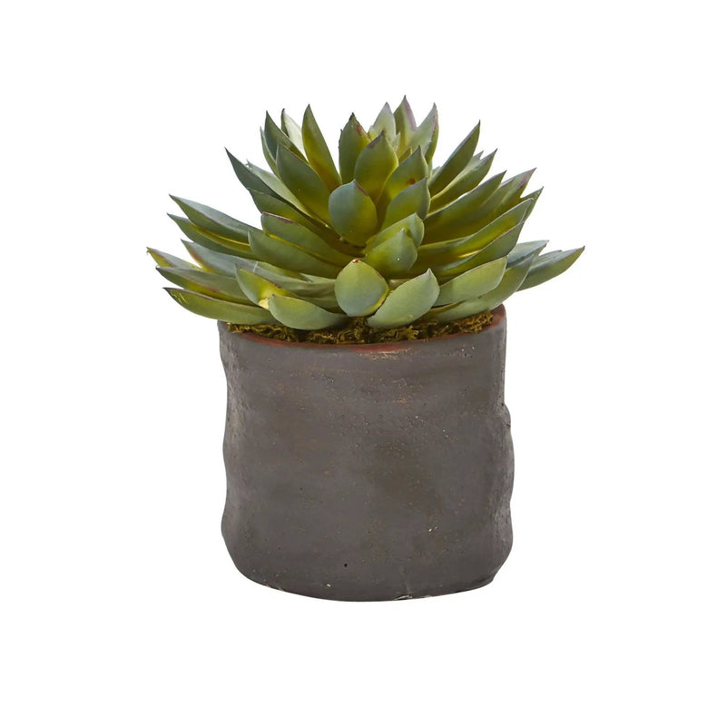 Mixed Succulent Trio Artificial Plant (Set of 3), photo 2 of 4