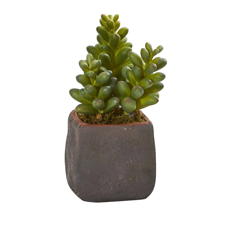 Mixed Succulent Trio Artificial Plant (Set of 3), photo 3 of 4