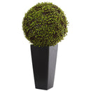 Mohlenbechia Ball Artificial Plant in Black Tower Vase