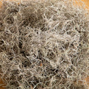 Natural Spanish Moss - 3Lbs
