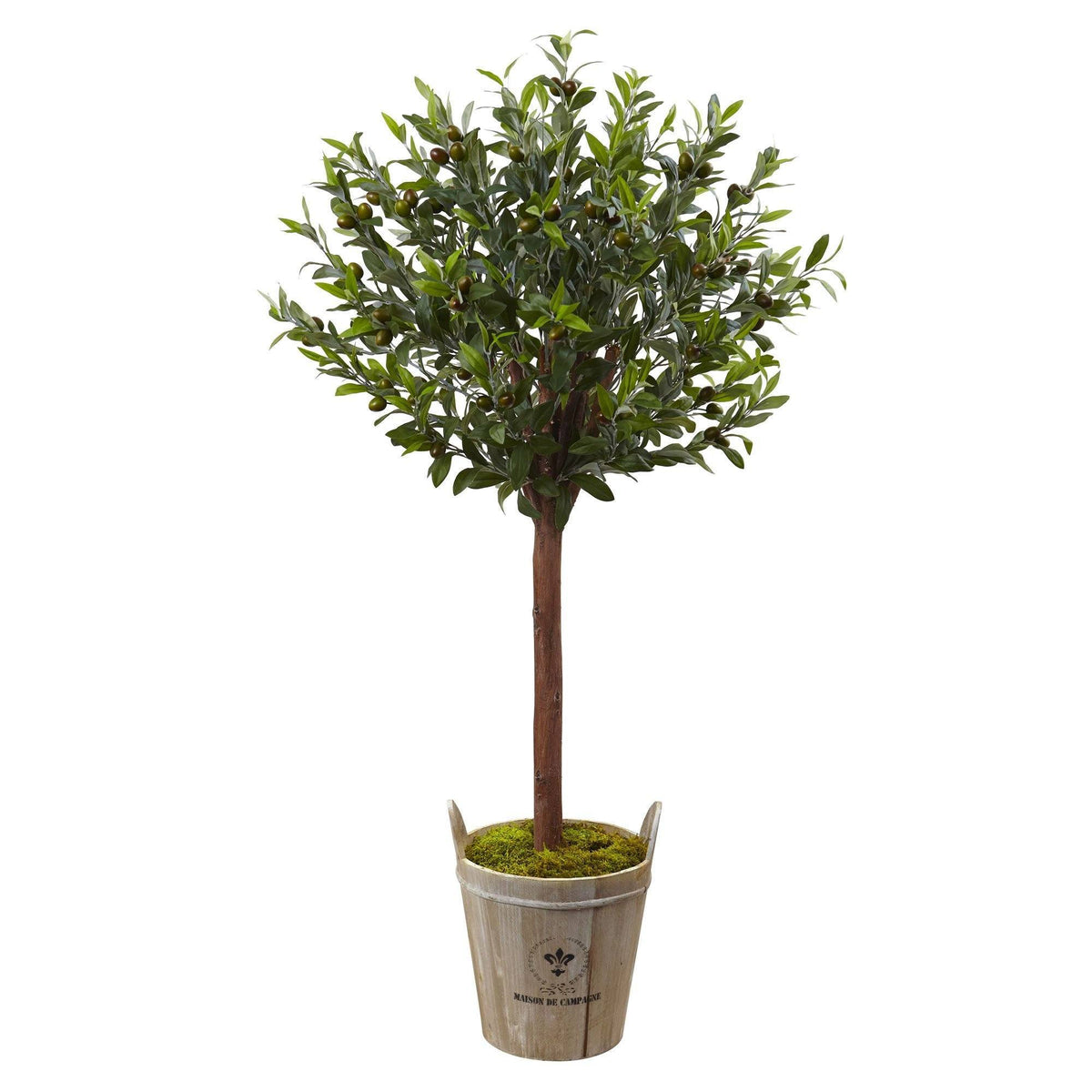 Olive Topiary Tree with Farmhouse Planter, photo 4 of 4