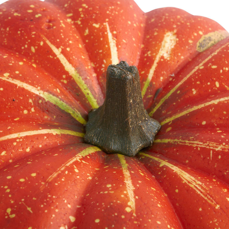 Perfect Pumpkin, photo 3 of 3
