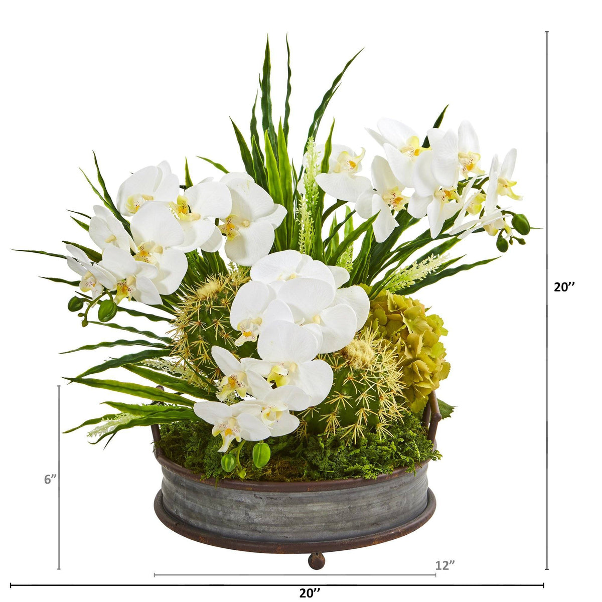 Phalaenopsis Orchid and Cactus Artificial Arrangement, photo 2 of 2