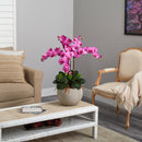 Phalaenopsis Orchid Arrangement with Sand Colored Bowl