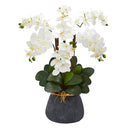 Phalaenopsis Orchid Artificial Arrangement in Stoneware Vase