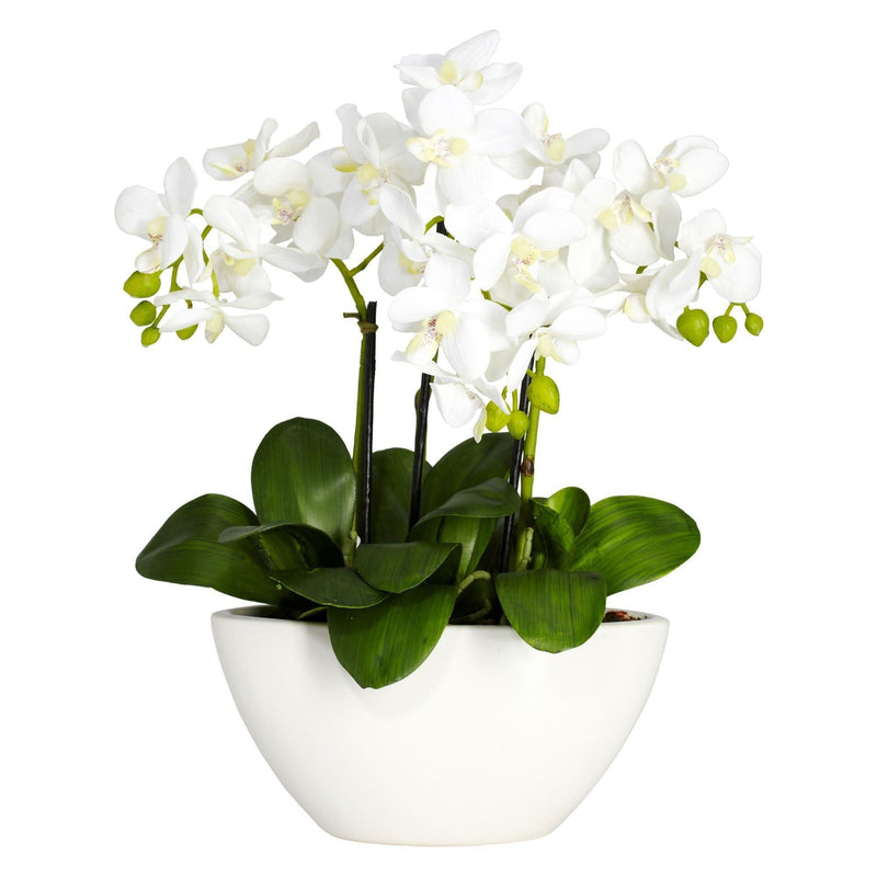 Artificial Phalaenopsis Arrangement