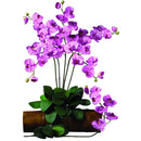 Phalaenopsis Silk Orchid Flower w/Leaves (6 Stems)