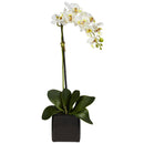 Phaleanopsis Orchid w/Black Vase Silk Arrangement (Set of 2)