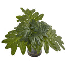 Philodendron Arrangement with Vase
