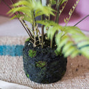 Artificial Faux Eagle Fern Bulk Plant