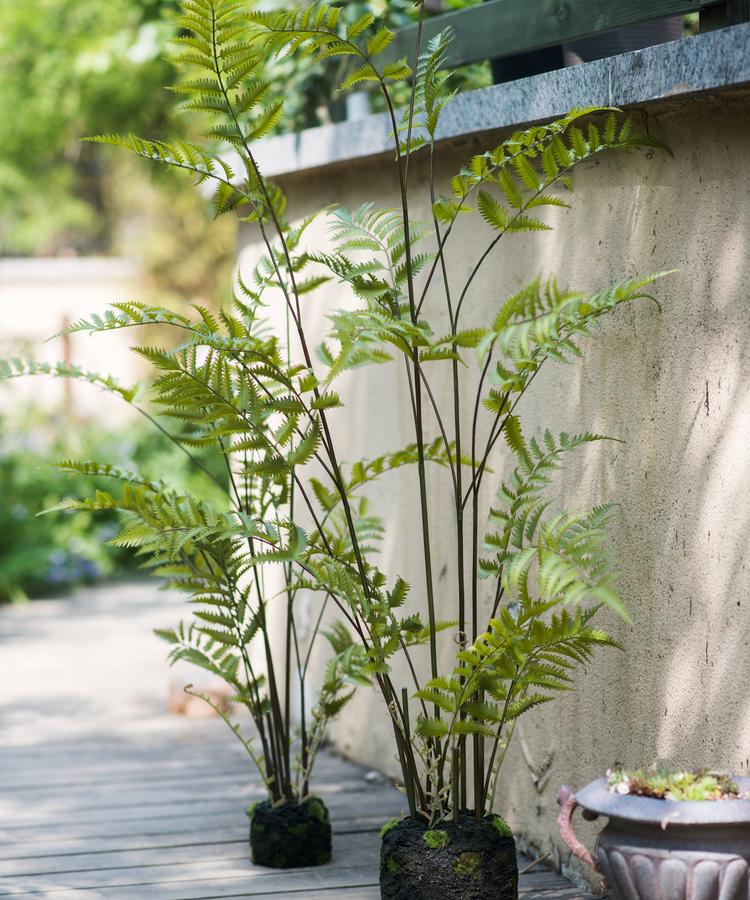 Artificial Faux Eagle Fern Bulk Plant