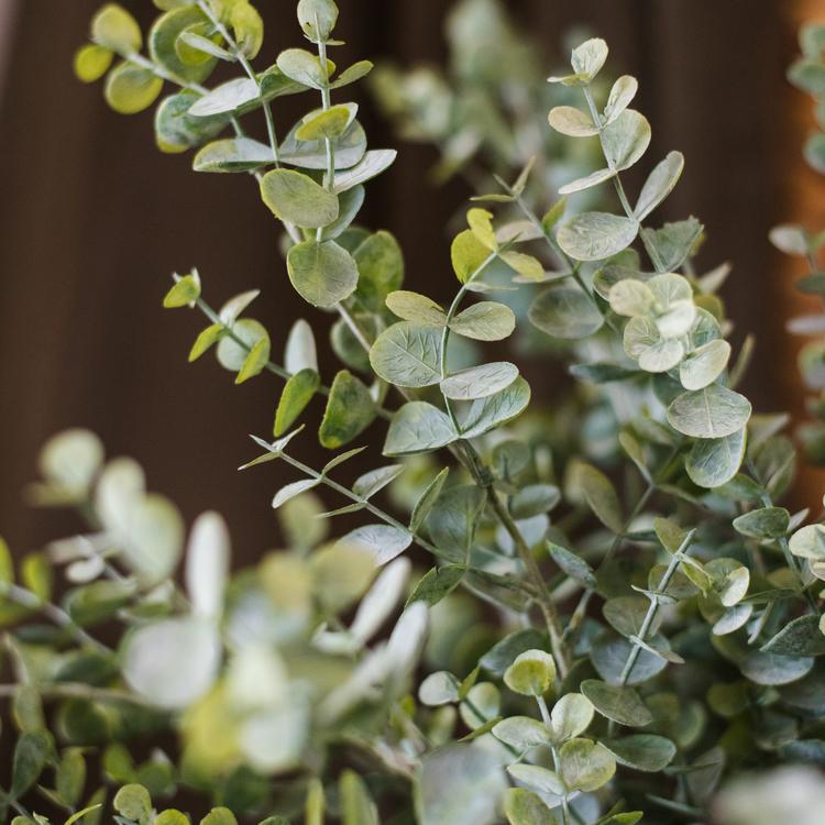 Artificial Faux Plant Eucalyptus Stem Green 26" Tall