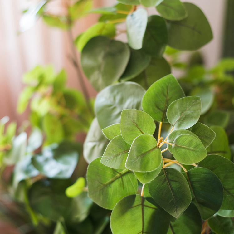 Artificial Plant Faux Bauhinia Leaf 34" Tall