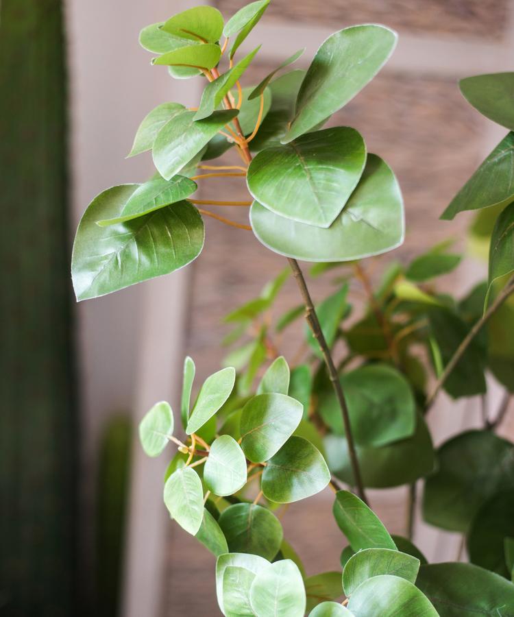 Artificial Plant Faux Bauhinia Leaf 34" Tall