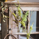 Artificial Plant Moss Rattan Stem 35" Tall