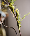 Artificial Plant Moss Rattan Stem 35" Tall