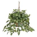 Pothos Hanging Basket Silk Plant