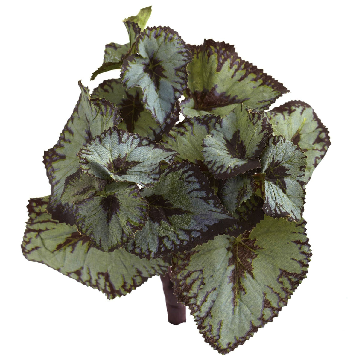 Rex Begonia Artificial Bush (Set of 12), photo 3 of 3