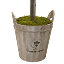 Rose Topiary with Farmhouse Planter