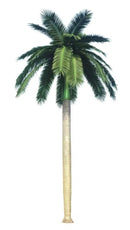 Royal Palm Artificial Tree 13ft–23ft – UV Resistant (10–12 Week Lead Time)