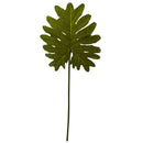 Selloum Philo Single Leaf Stem (Set of 12)