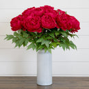 Signature Collection 20” Peony Artificial Arrangement in White  Glass Vase