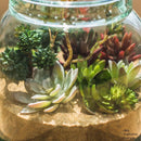 Artificial Faux Small Succulent Stem Randomly Picked Set of 5