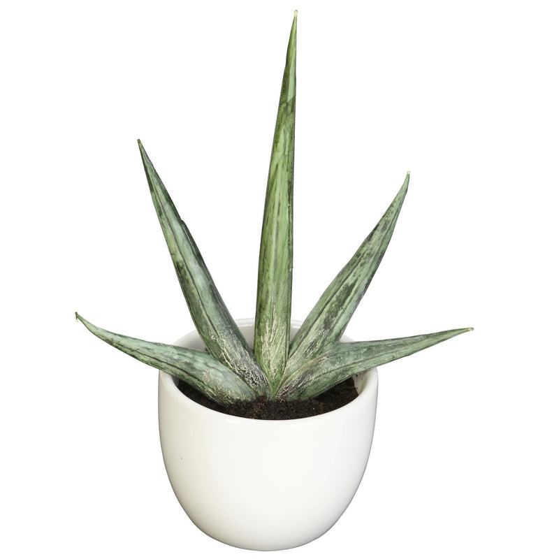 Southwest Artificial Succulent Collection - Set of 3, photo 3 of 4