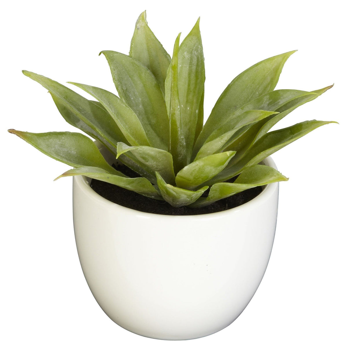 Southwest Artificial Succulent Collection - Set of 3, photo 4 of 4