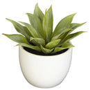 Southwest Artificial Succulent Collection - Set of 3