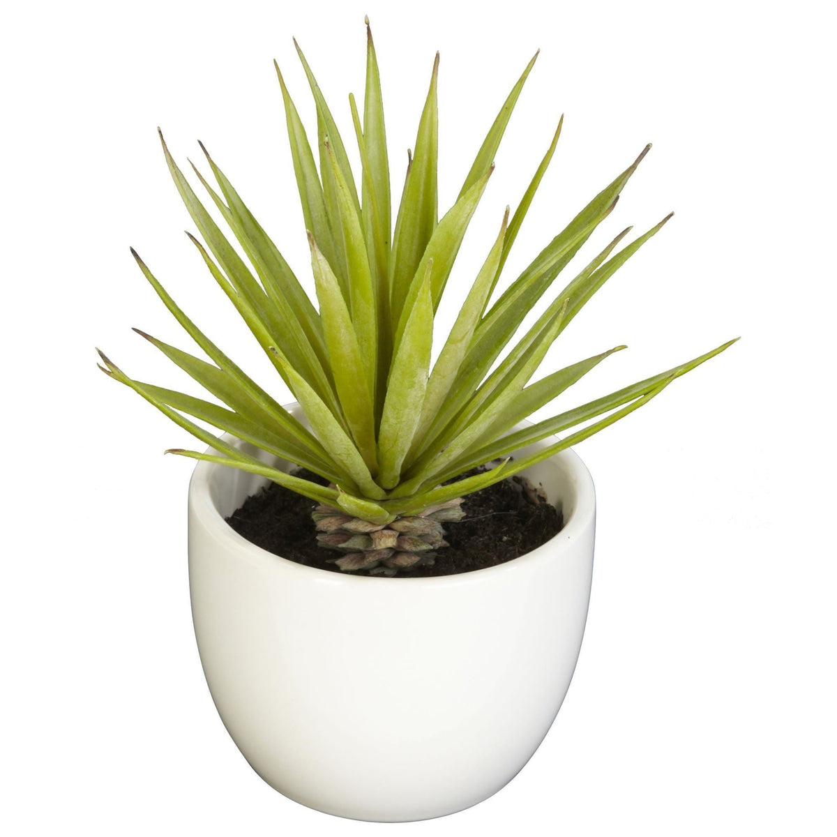 Southwest Artificial Succulent Collection - Set of 3, photo 2 of 4