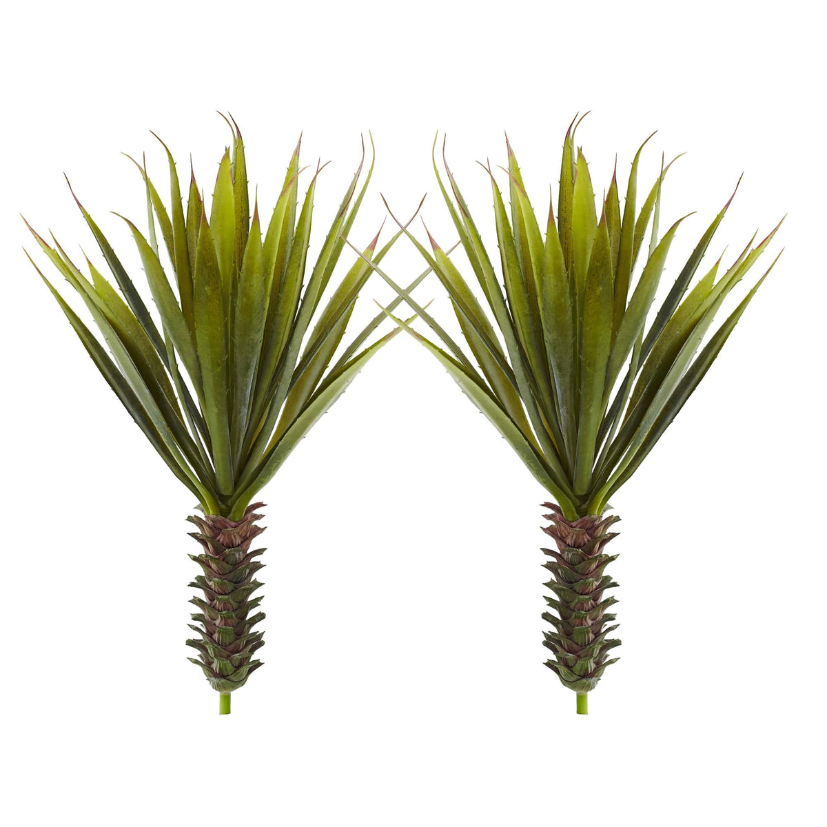 Spiky Agave Succulent Plant (Set of 2), photo 2 of 2
