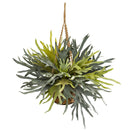 Staghorn Hanging Basket Artificial Plant