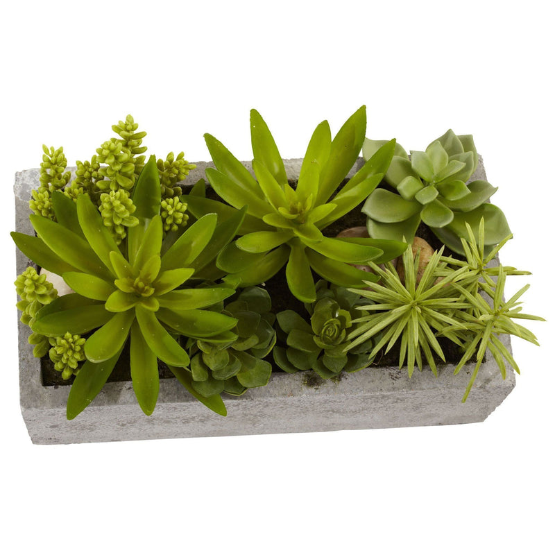 Succulent Garden w/Concrete Planter, photo 2 of 3