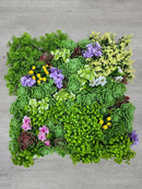 Dense Succulent Artificial Vertical Garden Green Wall Panel 20×20in – UV Resistant – Commercial Grade
