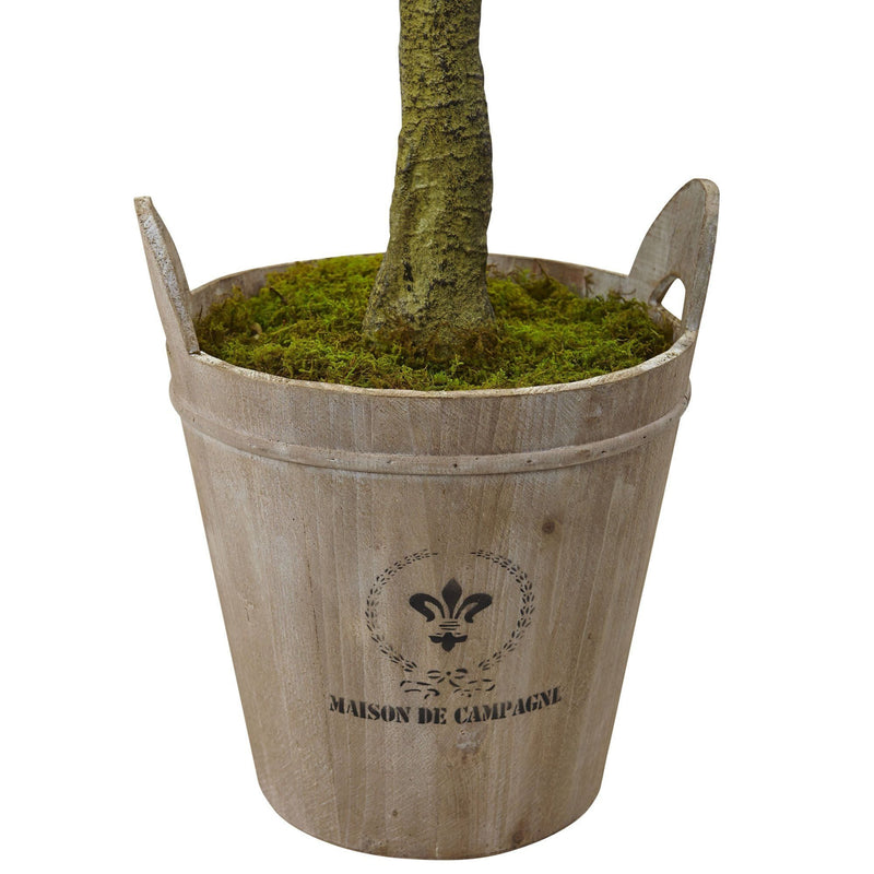 Sweet Bay Topiary with Farmhouse Planter, photo 2 of 3