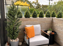 Boxwood Topiary Shrub with Ground Spike 14in – UV Resistant