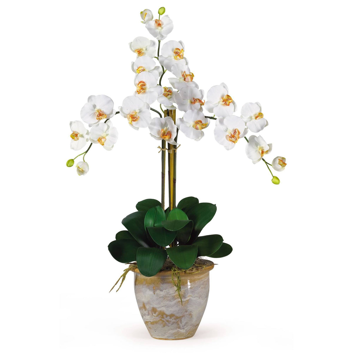 Triple Stem Phalaenopsis Silk Orchid Arrangement, photo 2 of 8